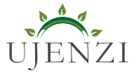 Ujenzi_logo-1